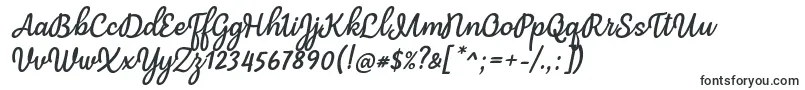 Mergic Italic Font by Situjuh 7NTypes-Schriftart – Schriften für Adobe Acrobat