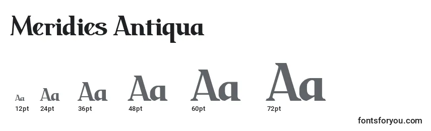 Размеры шрифта Meridies Antiqua