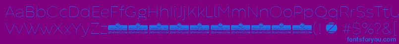 CodecWarmThinTrial Font – Blue Fonts on Purple Background