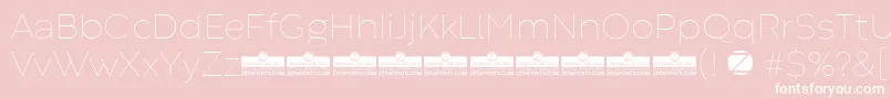 CodecWarmThinTrial Font – White Fonts on Pink Background