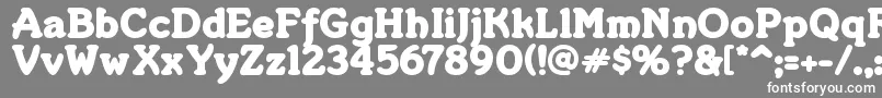 フォントMERKIN   – 灰色の背景に白い文字