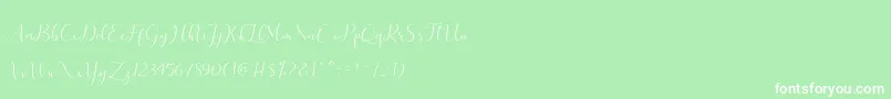 merlin Font – White Fonts on Green Background