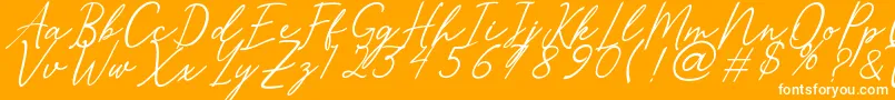 Merrxi-Schriftart – Weiße Schriften auf orangefarbenem Hintergrund