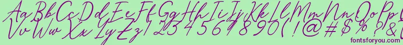 Merrxi Font – Purple Fonts on Green Background