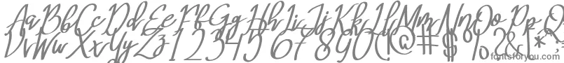 MeryQolbyItalic-Schriftart – Graue Schriften auf weißem Hintergrund