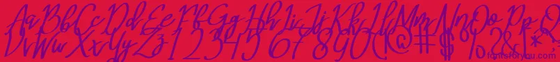 MeryQolbyItalic Font – Purple Fonts on Red Background