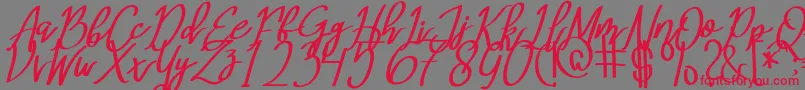 MeryQolbyItalic Font – Red Fonts on Gray Background