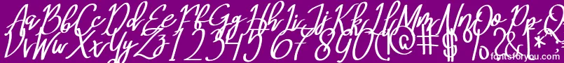MeryQolbyItalic Font – White Fonts on Purple Background