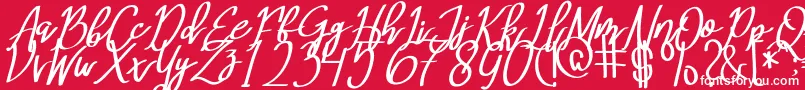 MeryQolbyItalic Font – White Fonts on Red Background