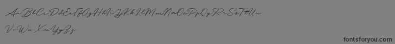 Messy Nessy Demo-Schriftart – Schwarze Schriften auf grauem Hintergrund
