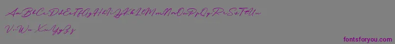 Messy Nessy Demo-Schriftart – Violette Schriften auf grauem Hintergrund