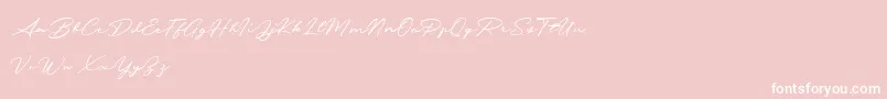 Messy Nessy Demo-Schriftart – Weiße Schriften auf rosa Hintergrund