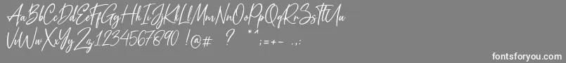 Metal Pen Font – White Fonts on Gray Background