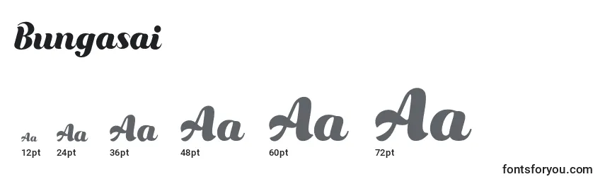 Размеры шрифта Bungasai