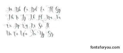 Review of the Metic Font