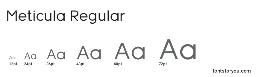 Размеры шрифта Meticula Regular