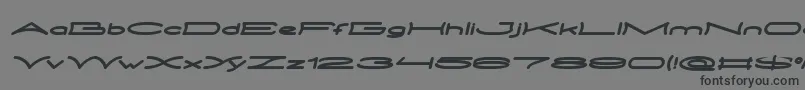 Шрифт METRO CITY Bold Italic – чёрные шрифты на сером фоне