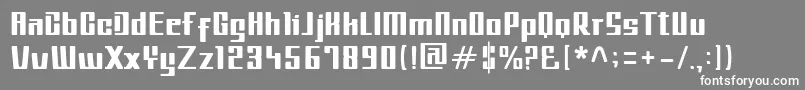 フォントMetroIL – 灰色の背景に白い文字