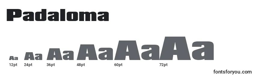 Padaloma Font Sizes