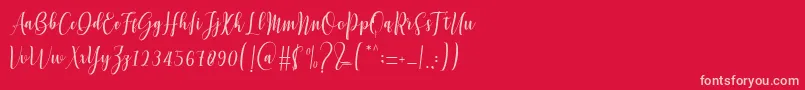 fuente Mettadilla – Fuentes Rosadas Sobre Fondo Rojo