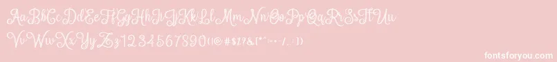 フォントmettical – ピンクの背景に白い文字