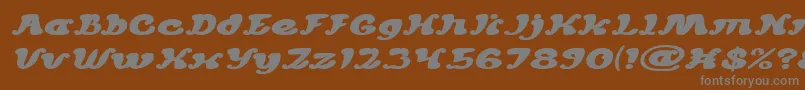 Weitere Informationen zur MEXICANO CHILLI SAUCE Italic-Schriftart MEXICANO CHILLI SAUCE Italic-Schriftart – Graue Schriften auf braunem Hintergrund