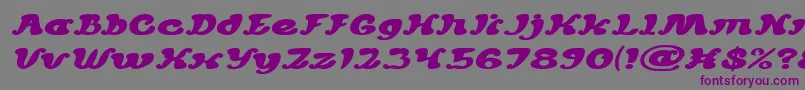 MEXICANO CHILLI SAUCE Italic Font – Purple Fonts on Gray Background