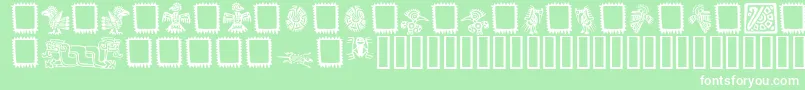MEXIO    Font – White Fonts on Green Background
