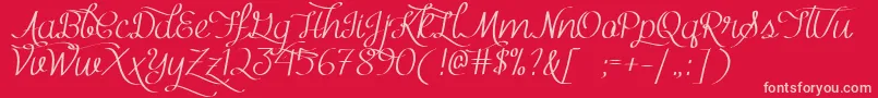 Mf Kind  Witty Font – Pink Fonts on Red Background