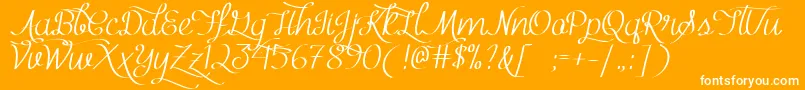 Mf Kind  Witty-Schriftart – Weiße Schriften auf orangefarbenem Hintergrund