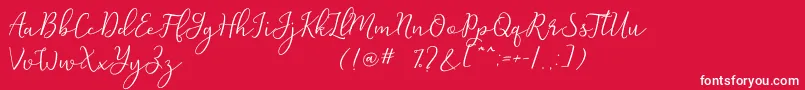 Michel Flow Dafont Font – White Fonts on Red Background