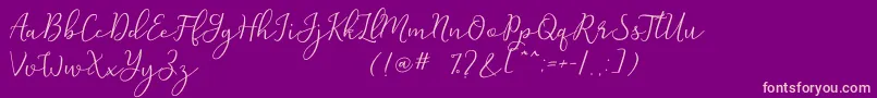 Michel Flow Dafont Font – Pink Fonts on Purple Background