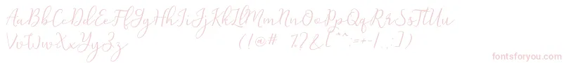 Michel Flow Dafont Font – Pink Fonts