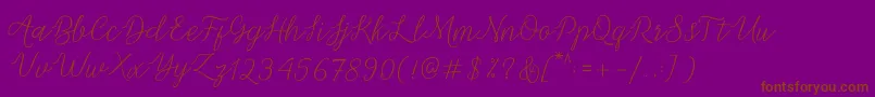 fuente Michella Script – Fuentes Marrones Sobre Fondo Morado