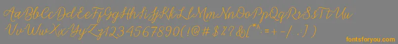 Michella Script Font – Orange Fonts on Gray Background