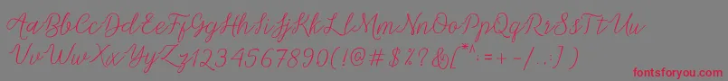 Michella Script-fontti – punaiset fontit harmaalla taustalla