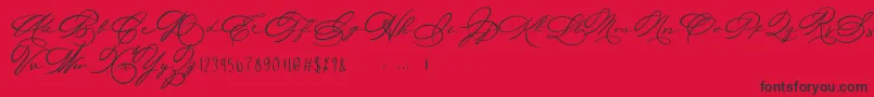 Michelle Fellicia-Schriftart – Schwarze Schriften auf rotem Hintergrund