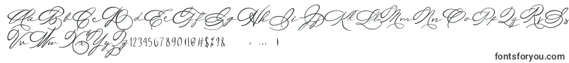 fuente Michelle Fellicia – fuentes caligraficas