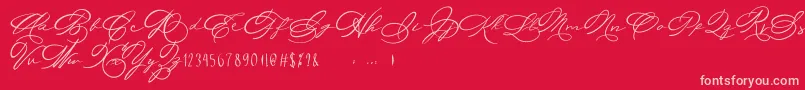 Michelle Fellicia Font – Pink Fonts on Red Background