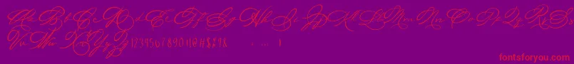 Michelle Fellicia Font – Red Fonts on Purple Background