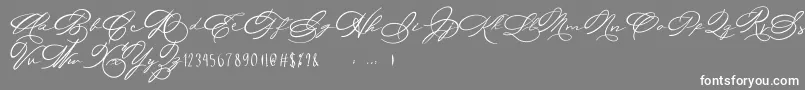 Michelle Fellicia-Schriftart – Weiße Schriften auf grauem Hintergrund