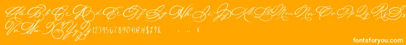 Michelle Fellicia-Schriftart – Weiße Schriften auf orangefarbenem Hintergrund