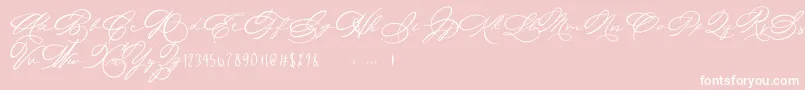 Michelle Fellicia-Schriftart – Weiße Schriften auf rosa Hintergrund