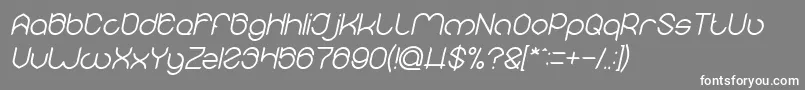 MICHELLE Italic-fontti – valkoiset fontit harmaalla taustalla