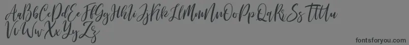 Michelles free-Schriftart – Schwarze Schriften auf grauem Hintergrund