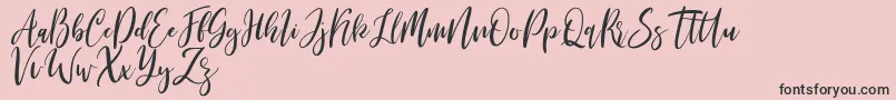 Michelles free Font – Black Fonts on Pink Background
