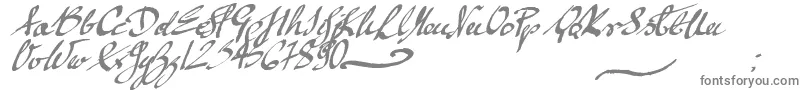 mickey script-fontti – harmaat kirjasimet valkoisella taustalla