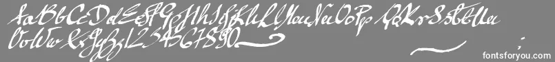 mickey script-Schriftart – Weiße Schriften auf grauem Hintergrund