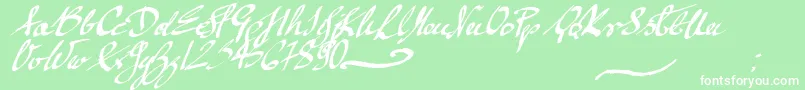 mickey script Font – White Fonts on Green Background