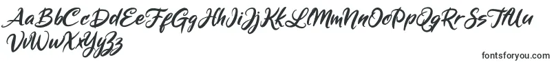 Шрифт Mickey Steward – шрифты для логотипов
